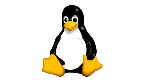 How To Create Partition and Format Storage Devices in Linux