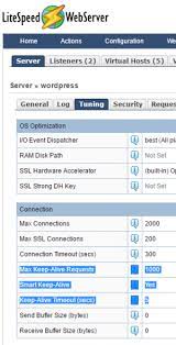 How to disable LiteSpeed connection timeouts