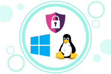 security-linux-windows